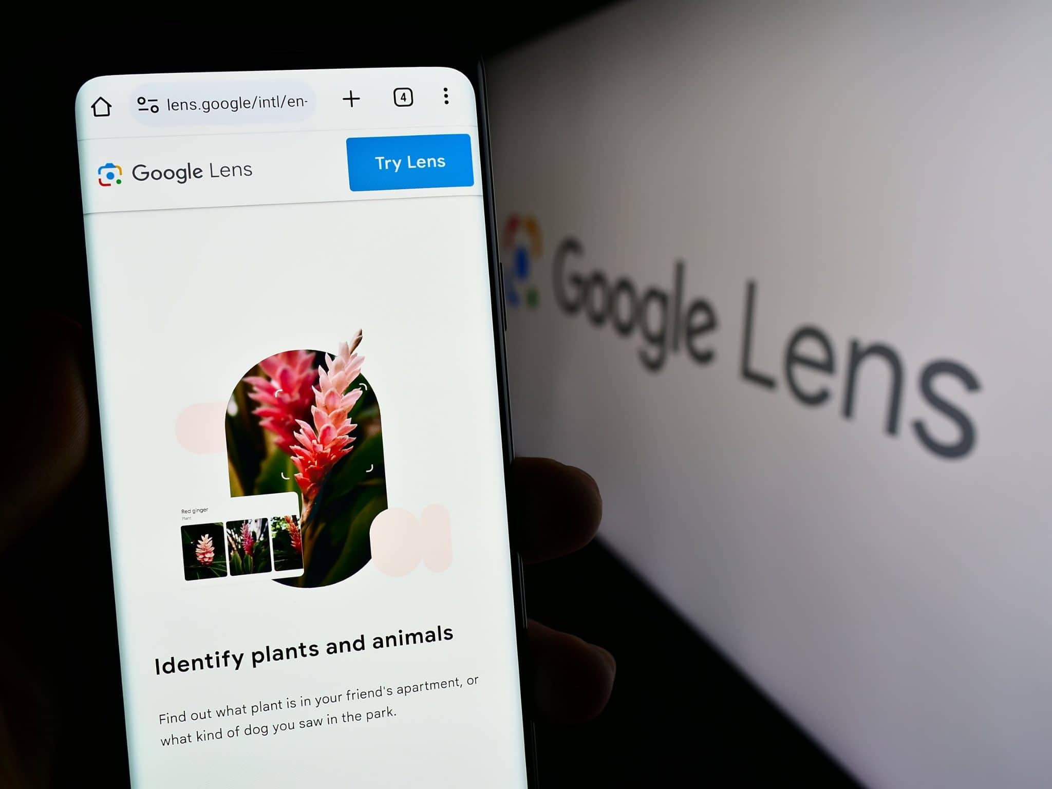 Google Lens: Como usar para pesquisar na internet